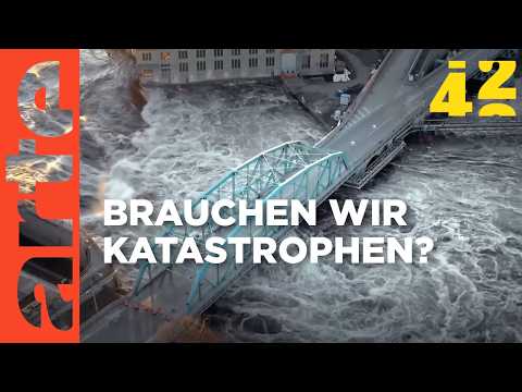 Machen uns Katastrophen besser?  | 42 - Die Antwort auf fast alles | ARTE