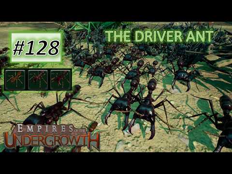 Empires of the Undergrowth #128: Driver Ant Has Arrived