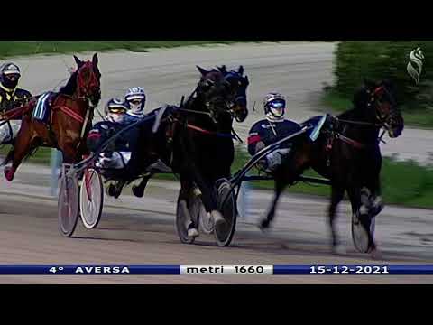 Aversa trotto 15 Dicembre 2021 - 4° Corsa