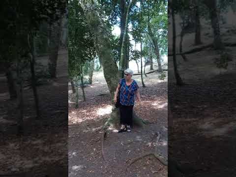 As Belezas do meu Rio Grande do Sul #morroreuter #belezasdors #meurs