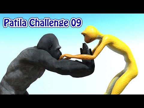 Patila Challenge Part 09 | Patila vs Gorilla Fight With Fun