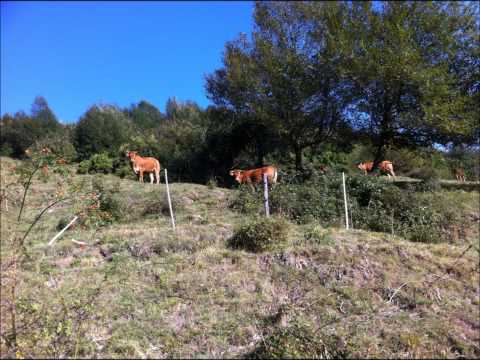 San Martino di Struppa