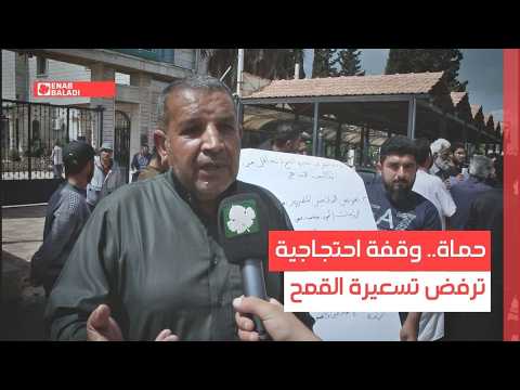 تقرير "عنب بلدي" عن وقفة احتجاجية في مدينة حماة ضد تسعيرة شراء محصول القمح