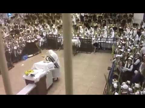 Sukkos With Toldos Aharon Rebbe