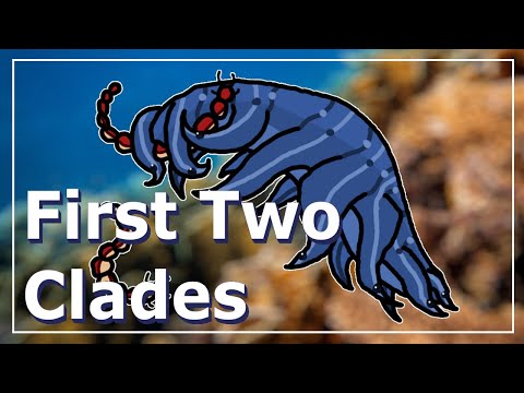 Alien Evolution Ep. 1: First Two Clades