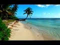 Travel Around The World Travel Commercial