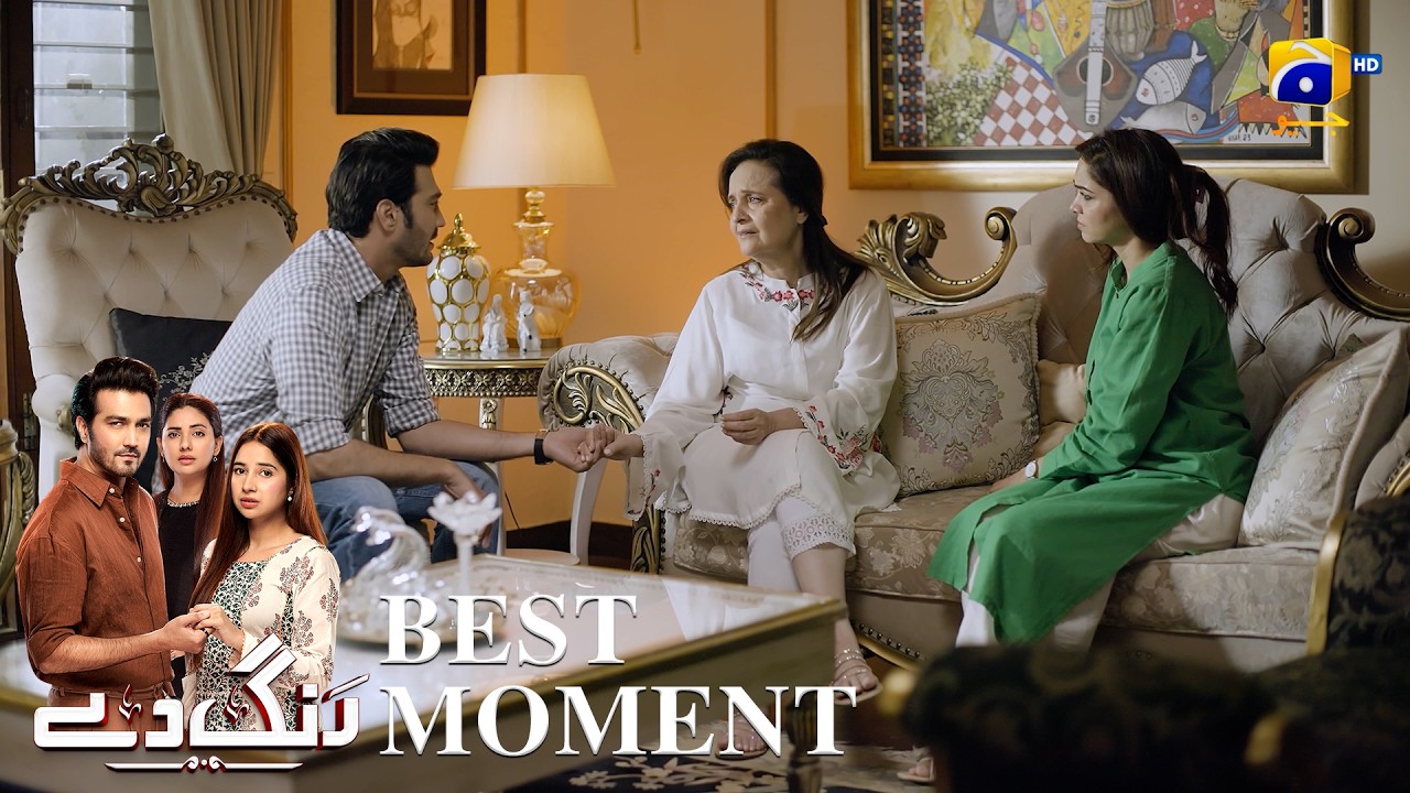 Rang De Episode 41 | 𝐁𝐞𝐬𝐭 𝐌𝐨𝐦𝐞𝐧𝐭 𝟎𝟑 | Sabeena Farooq - Shahzad Sheikh - Azfar Rahman | Har Pal Geo