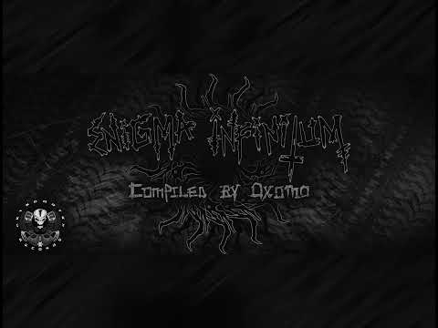 VA ENIGMA INFINITUM 03 - Potowatoma Potowatomii - Indian Phobia (200 BPM) by Metacortex Records