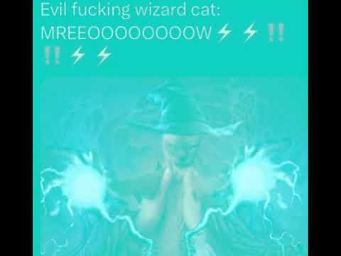 Evil Flarking Wizard Cat