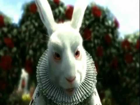 Wonderland By Wems (Visu by Sébtik)