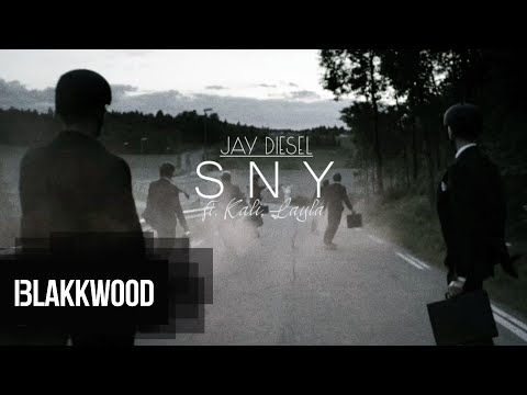 Jay Diesel ft. KALI, Layla - Sny (Remix by ODD)
