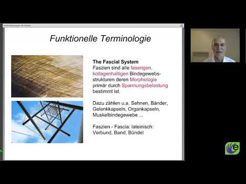 Auszug   Die Faszie als Sinnesorgan    Robert Schleip