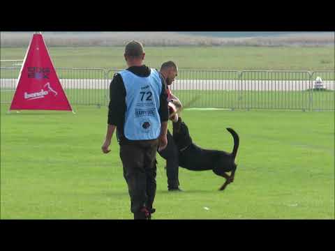 Norbert Szijártó & Gorby vom Schwarzen Grat, IFR IGP WM 2021, "C"