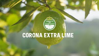 Corona - Corona Extra Lime