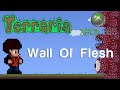 Terraria Xbox - Wall Of Flesh [73] 