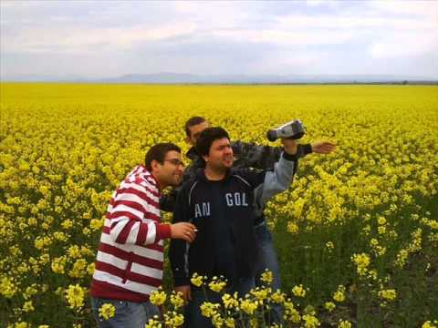 Plastic Bo. - Samolet