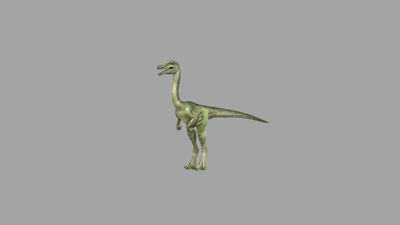 Real Animated Compsognathus - 8K 3D Model