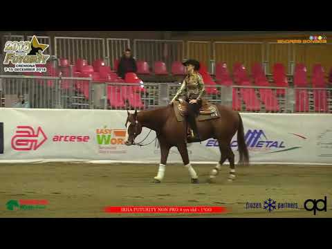 Shine Maximum Shine & Gina Schumacher Italian Futurity 2018 Non Pro Go Round