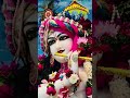 Adhram Madhuram Hindi Version Swasti Mehul Krishnabhajan Shorts Madhurashtakam Viral Status