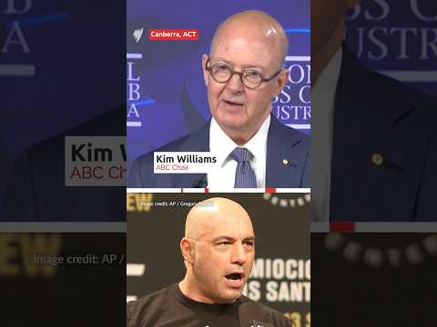 Elon Musk and Joe Rogan react to criticism from ABC boss