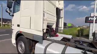 DAF XF 105. 460 / SPACE CAB / SUPER STAN / DUŻY ZBIORNIK / TOP truck tractor | Image 4 - Autoline