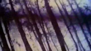 Não Pare Na Pista - Raul Seixas - Clip