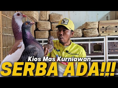 FIND TREASURE AT MAS KURNIAWAN'S DOVE STORE!!! THE CONTENTS ARE ALL GOOD!