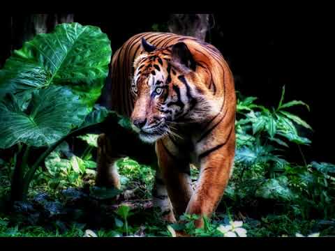 (FREE) AJ Tracey x MoStack Type Beat | Afroswing instrumental 2020 - Greaze