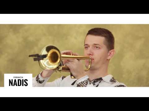 Formatia NADIS Salon Zamca Suceava - Batuta