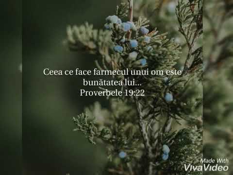 Loredana Milașcon ~ L-am găsit pe Hristos