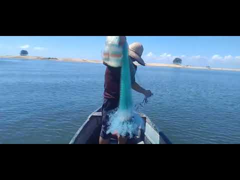 INICIANDO MAIS UMA PESCARIA NO RIO ARARANGUÁ,NA SUA FORMA ORIGINAL.EP2487