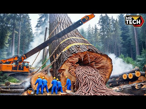 Extreme Dangerous Fastest Big Chainsaw Cutting Tree Machines | Monster Stump Removal Excavator #62