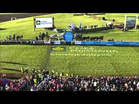 123. Velká pardubická steeplechase - 2013
