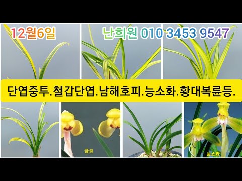 유튜브 썸네일