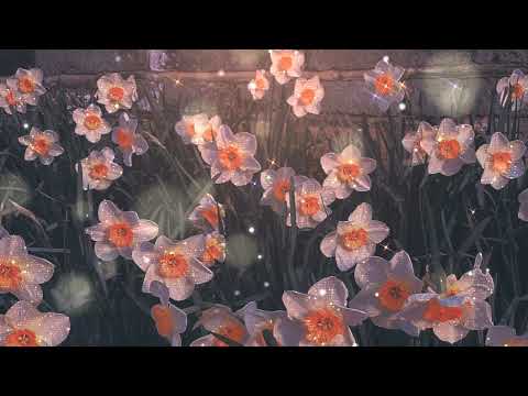 Eliza Lumley - Let Down (Radiohead) [Male/ Deep Version]