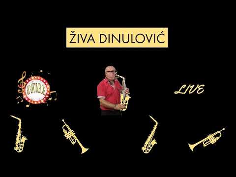 ŽIVA DINULOVIĆ - DANC KOLA UŽIVO (VlaskiMelos)