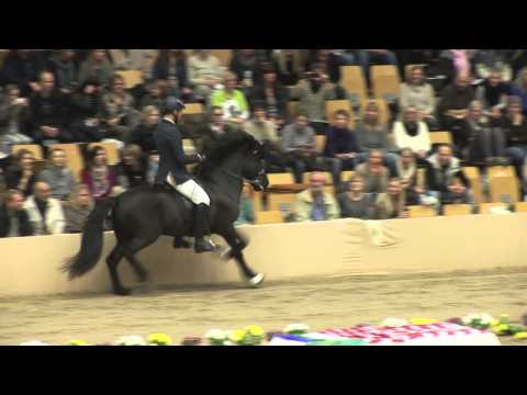 WorldTölt 2013 - Moli frá Skriðu