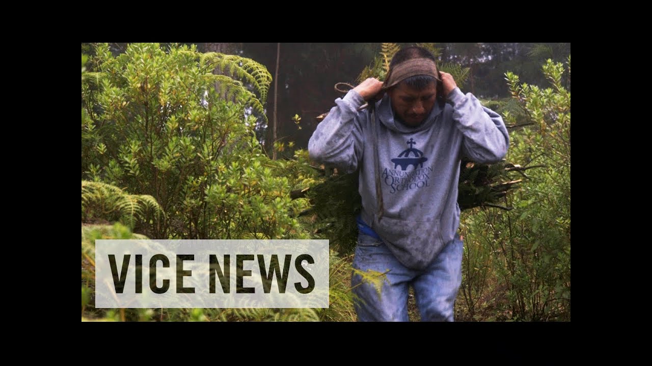 The High Cost of Deporting Parents