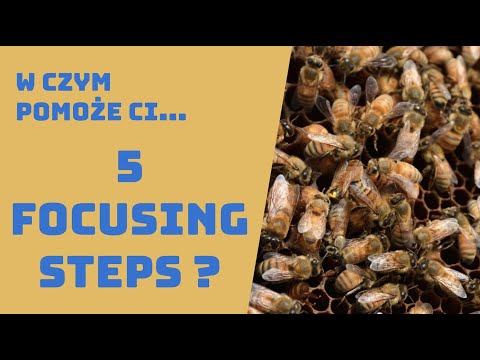 #2 5 Focusing Steps - Teoria Ograniczeń w Praktyce