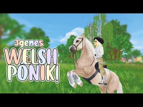 , title : '3genes Welsh Pónik![SSO]'