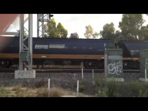 BL32 X39 pacific National grain at Castlemaine loop