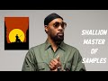 WU TANG CLAN THE RZA IS THE NINJA OF SAMPLES