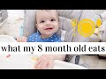 WHAT MY 8 MONTH OLD EATS IN A DAY | EASY BABY LED WEANING IDEAS