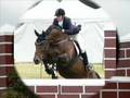 Smithbrook 2006