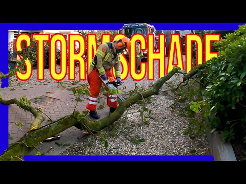 Stormschade - VOLUNTEERS DUTCH FIREFIGHTERS -