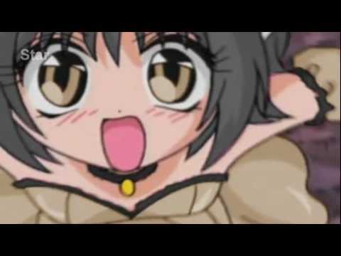 Characters for diary of a mew