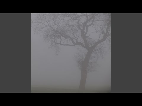 Video thumbnail for Star