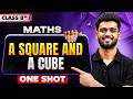 A Square And A Cube Maths Class 8 One Shot By Priyanshu Sir