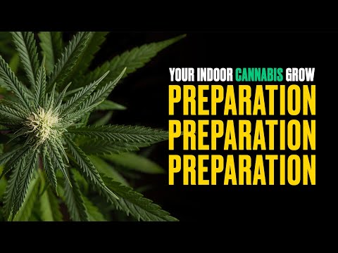 Avoid These Rookie Mistakes: Prep Your Cannabis Grow Correctly