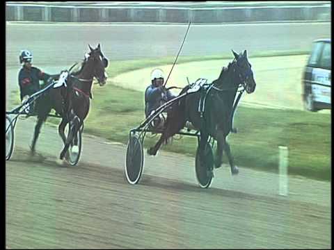 Trotto 22/04/2016 - 6° Corsa